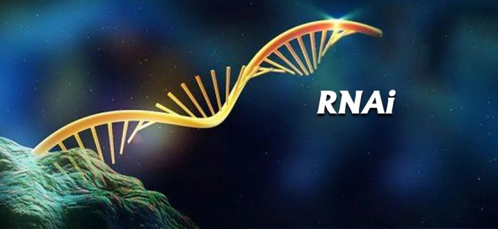 Interferencia de ARN (ARNi)