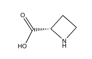 aerosol nasal sólido transparente (R)-azetidina-2-ácido carboxílico