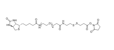 Biotin-PEG4-S-S-S-NHS