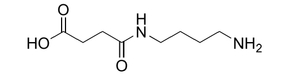 Ácido butanoico, 4 - [(4-aminobutil) amino] -4-oxo-