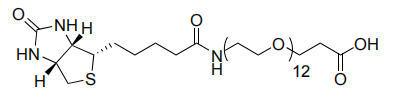 Biotina-PEG12-Ácido