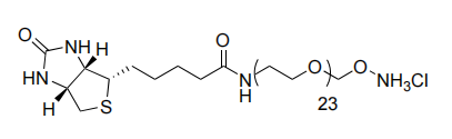 Biotina-dPEG-oxiamina.HCl