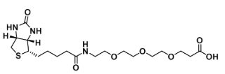 Biotina-PEG3-CH2CH2COOH